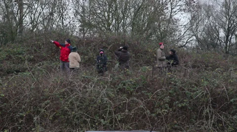 Bird watcher 06 Stock Footage 33845595