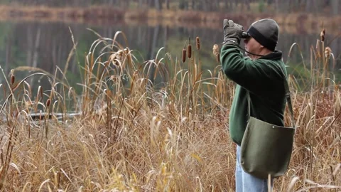 Bird Watcher in Forest with Binoculars Stock Footage 172263704