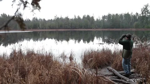 Bird Watcher in Forest Stock Footage 172265034