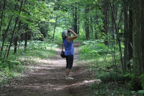 The Bird Watcher 库存照片