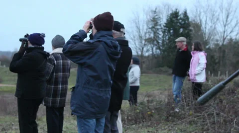 Bird watchers 1 Stock Footage 33480800