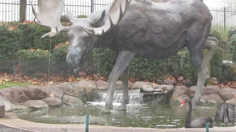 Bird Watching at the Aviary Stockbeeldmateriaal 44281925
