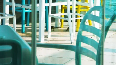 Bird is watching between pub's chairs on the sea Stock Footage 117409546