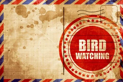 Bird watching Stock Illustration
