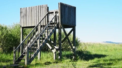 Bird watching tower Stock Footage 95276649