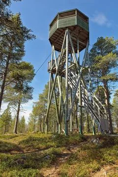 Bird watching tower. Foto stock