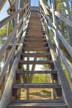 Bird watching tower. Stock Photos