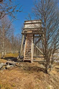 Bird watching tower. Stock Photos
