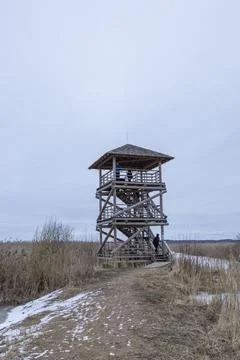 Bird watchtower in Winter time, cloudy day Foto stock