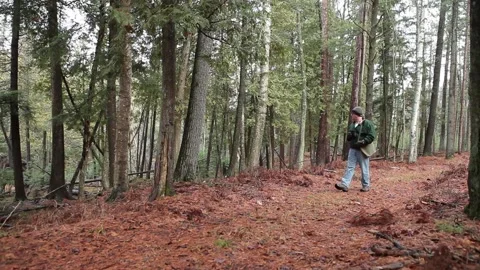 Bird Wathcer Hiking Through the Forest on Trail 動画素材 172265033