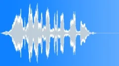 Bird whistlerSound Effect