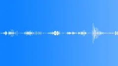 Bird Whistling, 1Sound Effect