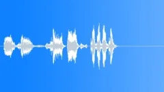 Bird Whistling, Robin, 11Sound Effect