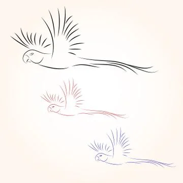 Bird in white background Illustrazione stock