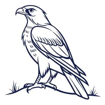 Bird-white-background-no-text Stock Illustration