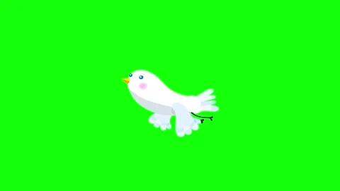 Bird white cartoon animation character flying singing greenbox Stock Footage 320458441