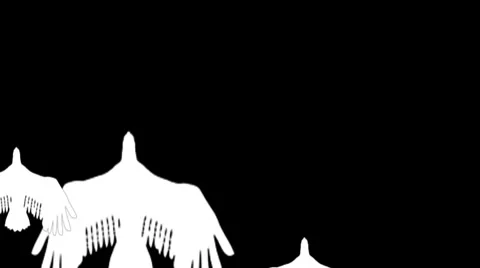 Bird wht Stock Footage 7765386