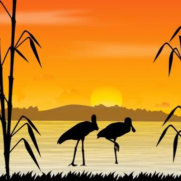 Bird, wildlife Stock Illustration