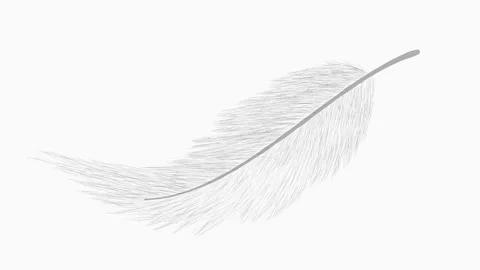 Bird wing animation video. Video stock 166152100