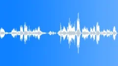 BIRD, WING FLAPSound Effect