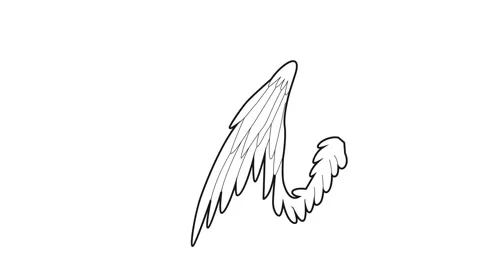 Bird wing icon animation | Stock Video | Pond5