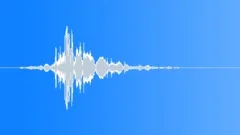 BIRD, WINGSound Effect