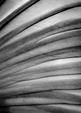Bird wing texture Stock Photos