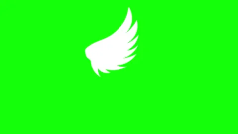 Bird wings flapping animated bird wings flying bird wings animation 4k loop.. Stock Footage 322713797