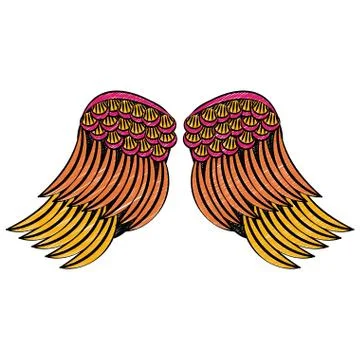 Bird wings isolated scribble Illustrazione stock