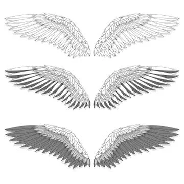 Bird wings set isolated on a white background. Vector illustration. Monochrom Stock Illustration