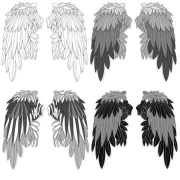 Bird wings set isolated on a white background. Vector illustration. Monochrom Illustrazione stock