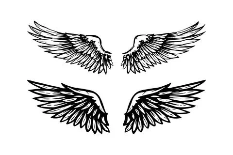 Bird wings vector art illustration, Bird wings tattoo Stock Illustration