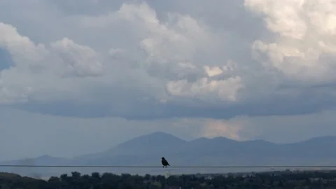 A Bird on a Wire Overlooking A Small Mountain Town 動画素材 201620025