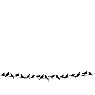 Bird on a wire Stock Photos