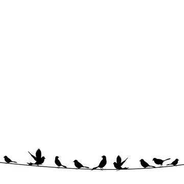 Bird on a wire Stock Photos