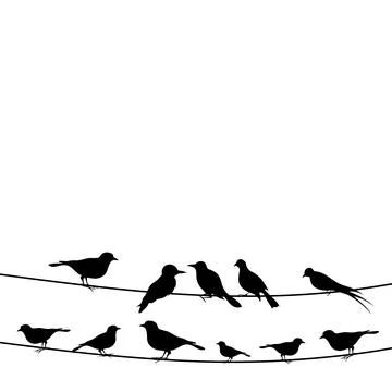 Bird on a wire Stock Photos