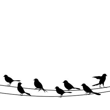 Bird on a wire Stock Photos