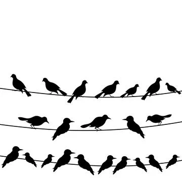Bird on a wire 스톡 사진
