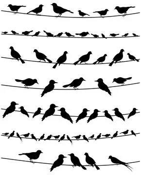 Bird on a wire2 Stock Photos