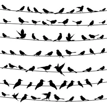 Bird on a wire4 Foto stock
