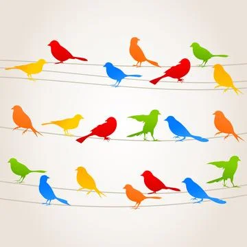 Bird on a wire5 스톡 사진