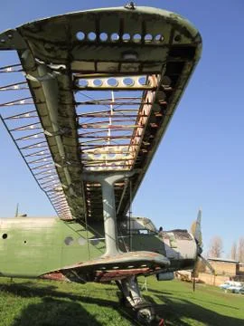 A bird without feathers will not fly Stock Photos