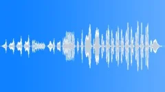 BIRD, WRENSound Effect