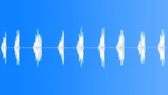 BIRD, YELLOWTHROATSound Effect