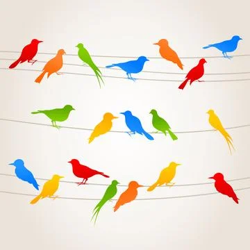 Bird4 스톡 사진