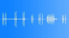 BIRD,AMERICAN,CROW Sound Effect