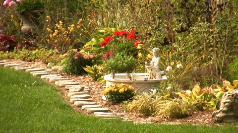 Birdbath Activity Stock Footage 87657