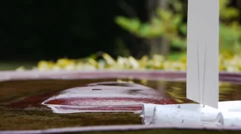 Birdbath with Boat Stock Footage 8975447