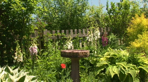 Birdbath garden Stock-Footage 98133