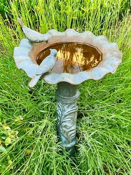 A birdbath in the grass Stock Photos